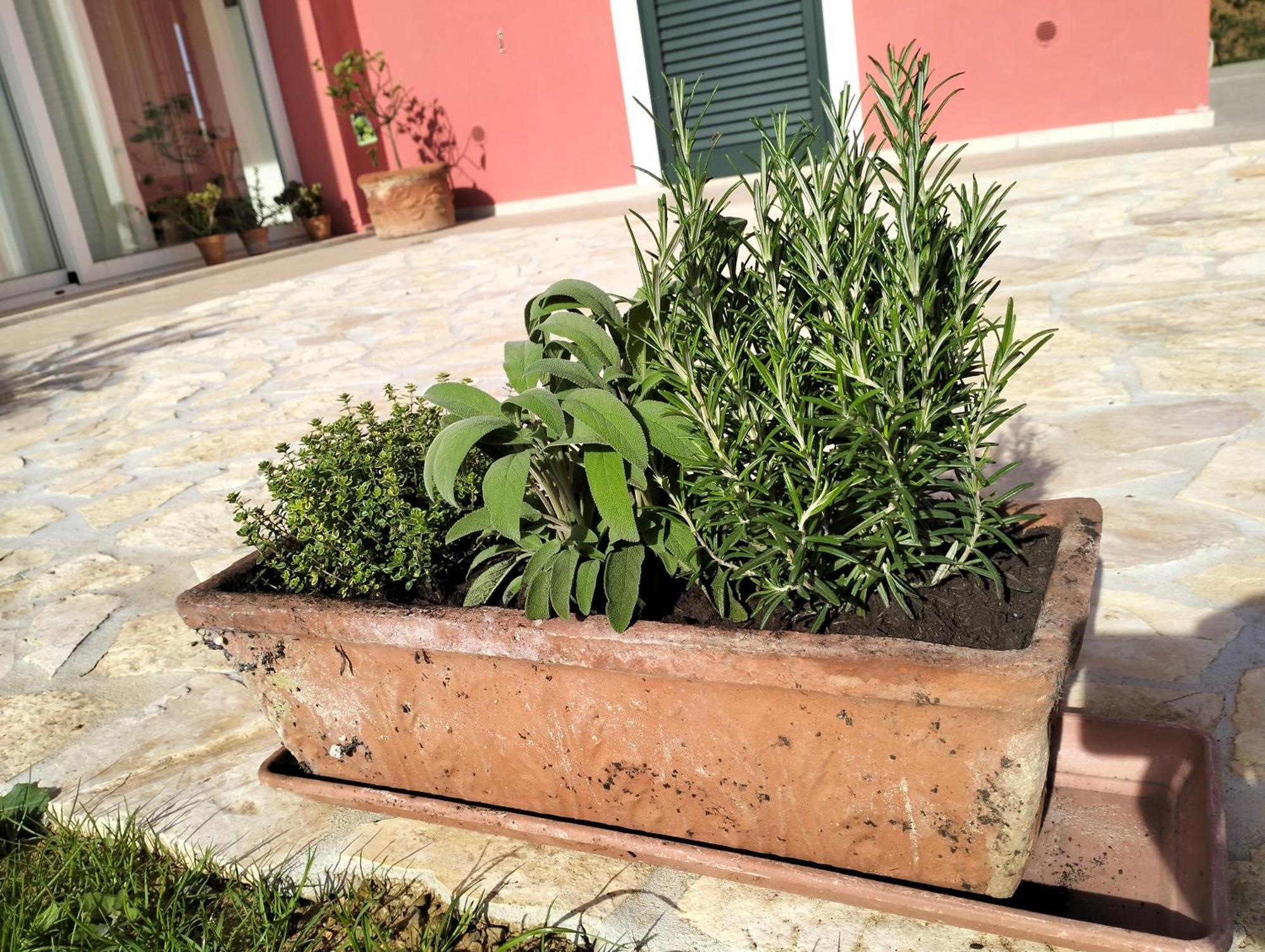 Villetta Fedora Immersa Nel Verde Cecina (Livorno) Exterior foto
